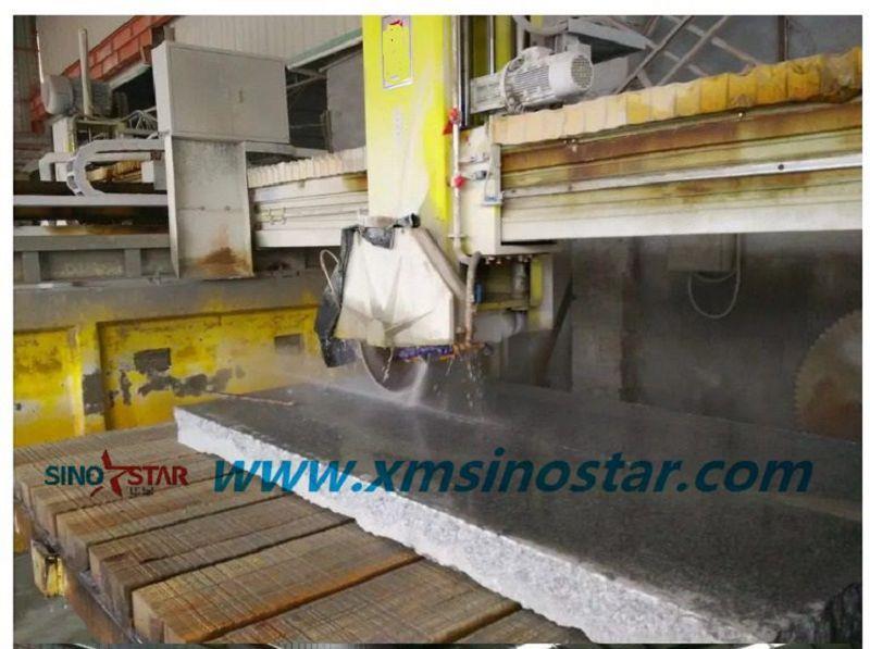 P1-Bridge Cutting Machine(001)